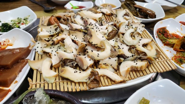 첨부한 사진이 없습니다